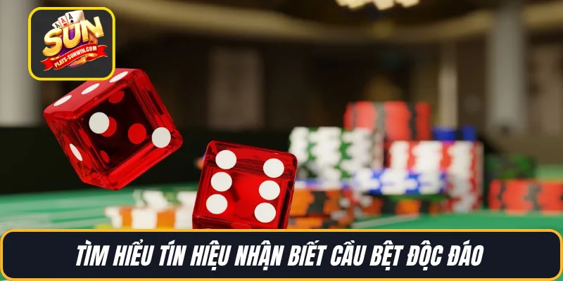 Tìm hiểu tín hiệu nhận biết cầu bệt độc đáo 